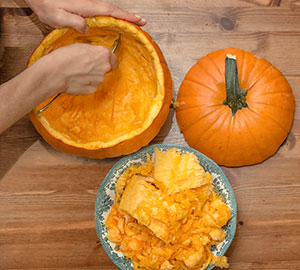 Pumpkin Protein