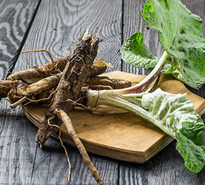 Burdock Root